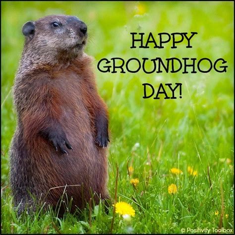 Groundhog Day 2025 𝙵ree